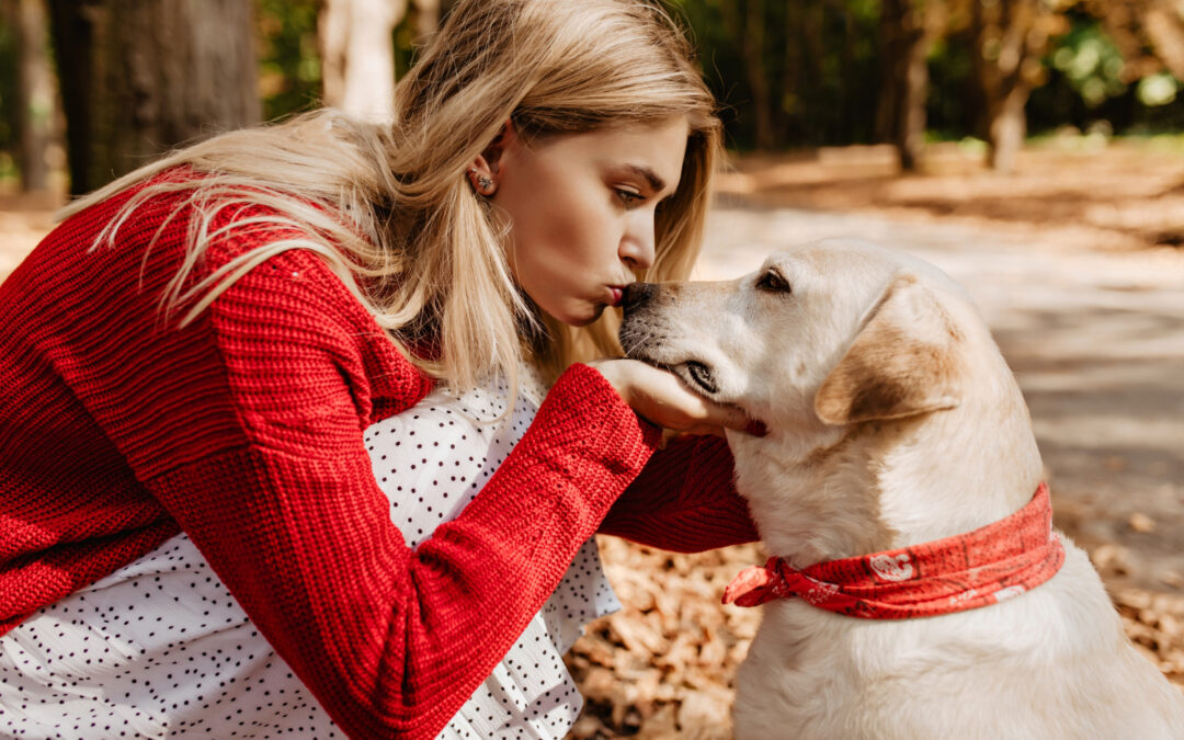 Pies a śmierć właściciela. Co na to prawo spadkowe?